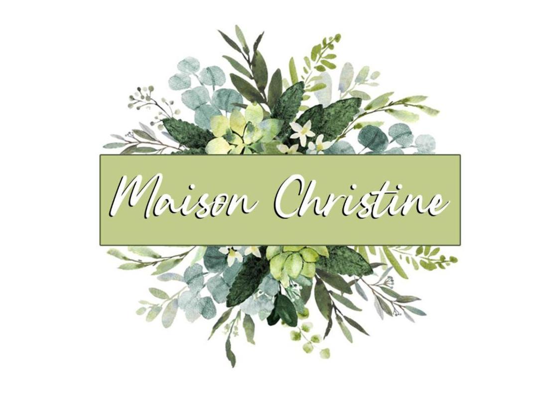 Maison Christine Τορίνο Εξωτερικό φωτογραφία